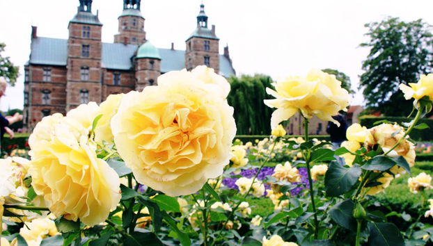 Visita guidata del Castello di Rosenborg - Foto 2