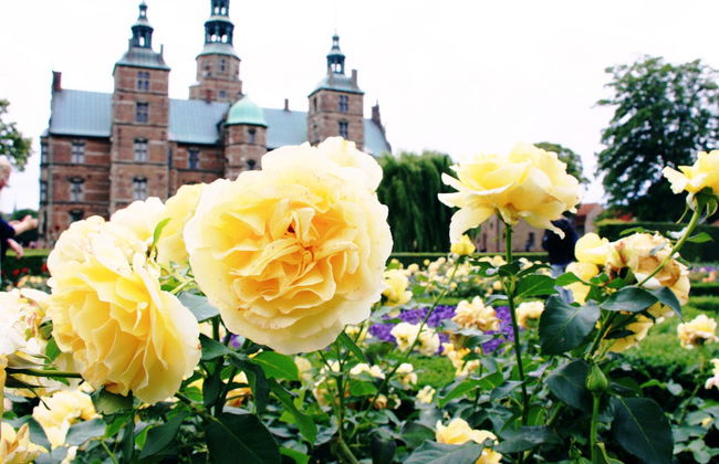 Visita guiada por el castillo de Rosenborg - Foto 2