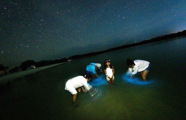 Excursion en kayak à la découverte de la bioluminescence + Observation des étoiles - Photo 6