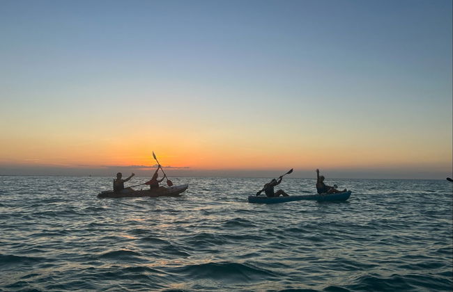 Observation de plancton luminescent en kayak - Photo 8