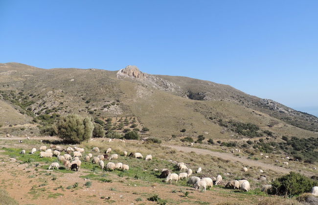 Tour en 4x4 por Kavusi, Skouros y Richtra - Foto 5
