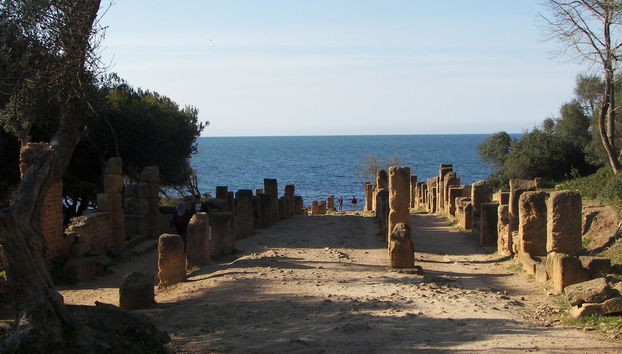 Cherchell + Tipasa Day Trip - Foto 4