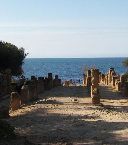 Foto - Escursione a Cherchell e Tipasa
