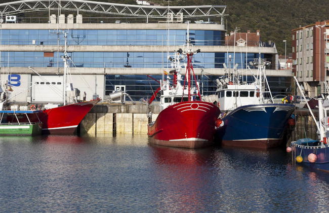 Visite guidée dans Santoña - Photo 5