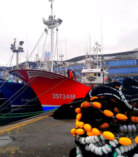 Foto de Visita guiada por Santoña