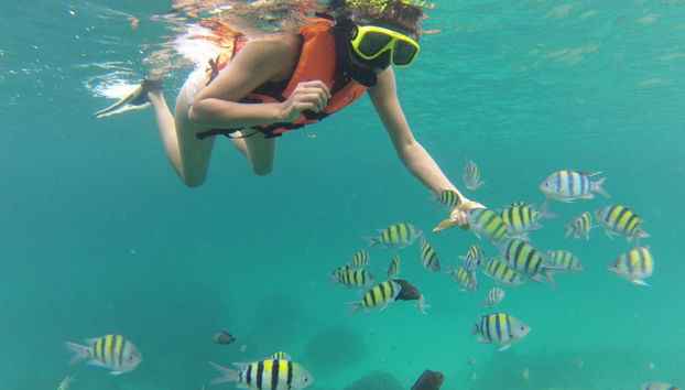 Racha Island Tour and Snorkeling - Foto 2