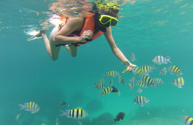Racha Island Tour and Snorkeling - Photo 2