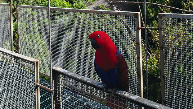 Pomaire and Tricao Park Trip - Photo 2