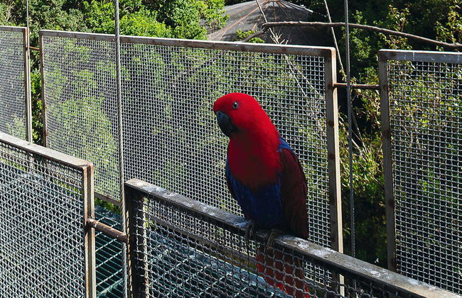 Excursão a Pomaire e ao Parque Tricao - Foto 2