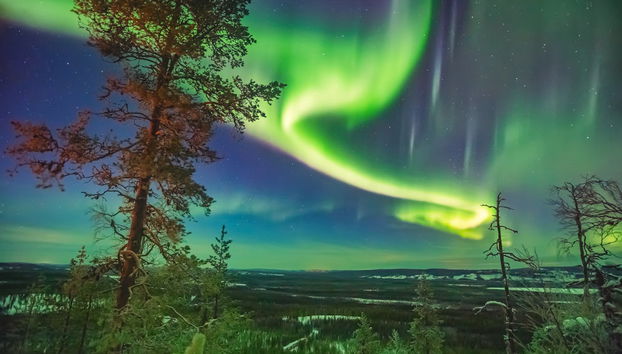 Northern Lights Tour - Photo 3