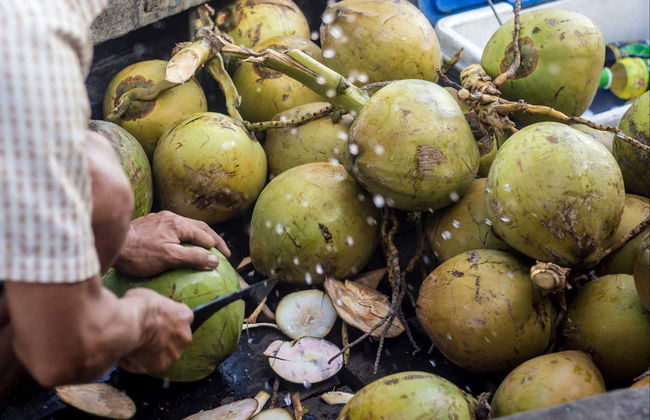 Mekong Delta Private Tour - Photo 6