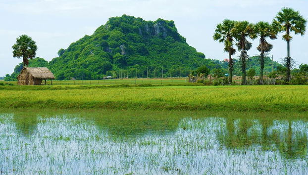 Combo Tour: Cu Chi Tunnels & Mekong Delta Day Trip - Photo 5