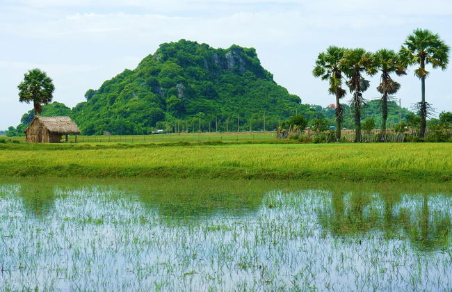 Combo Tour: Cu Chi Tunnels & Mekong Delta Day Trip - Foto 5
