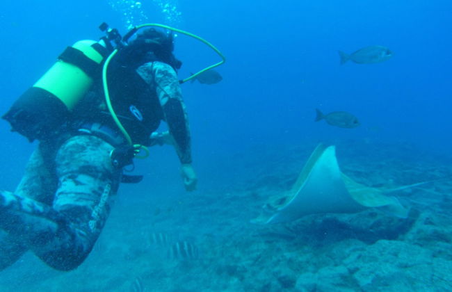Costa Adeje Beginners Scuba Diving Lesson - Foto 2