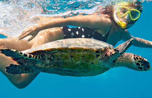 Snorkel con tortugas en Mindelo - Foto 5