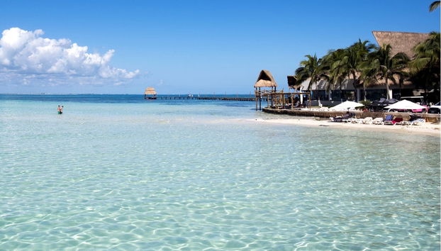 Swimming with Whale Sharks Tour - Photo 2