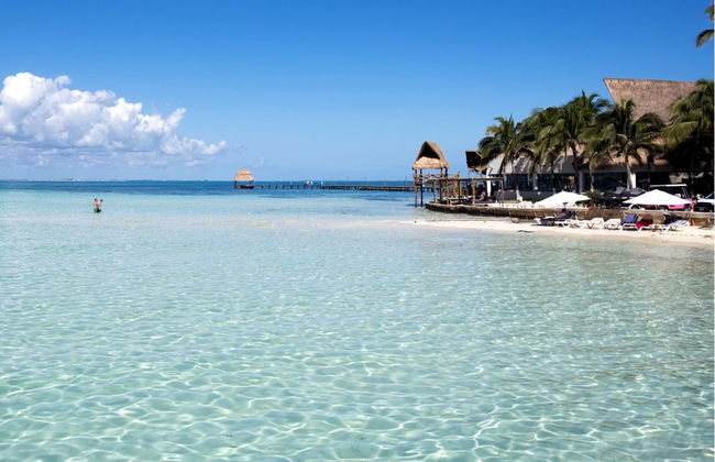 Nado con tiburones ballena - Foto 3