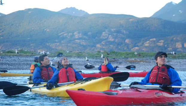 Balade en kayak dans le Canal Beagle avec observation d'otaries - Photo 2