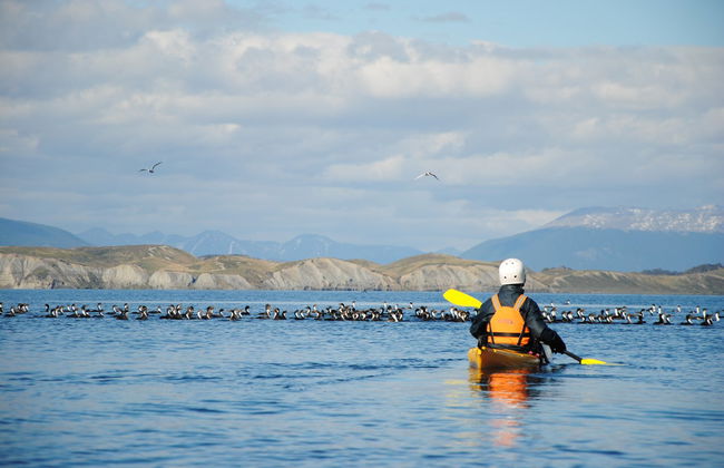 Tour en kayak por el Canal Beagle - Foto 2