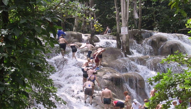 Excursión a las cascadas del río Dunn - Foto 2