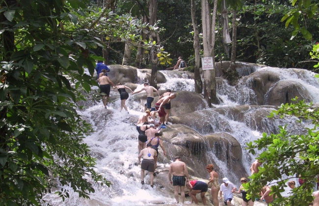 Excursión a las cascadas del río Dunn - Foto 2