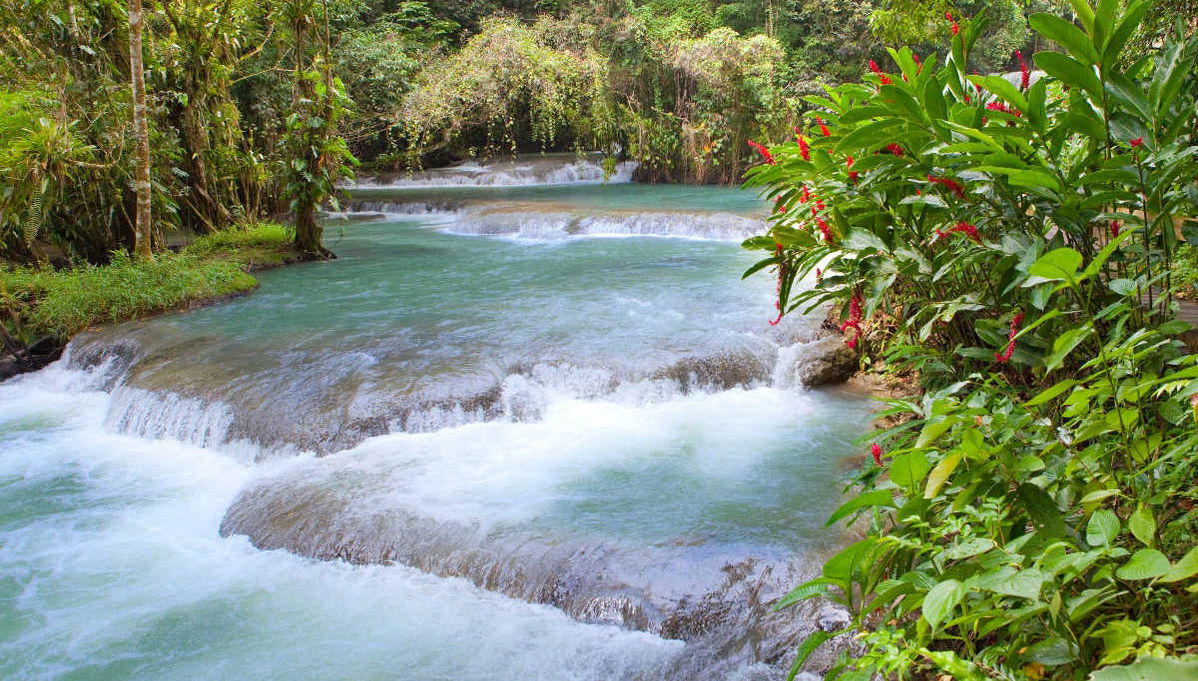 Excursión a las cascadas del río Dunn - Foto 1