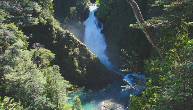 Escursione privata da San Martín de los Andes - Foto 5