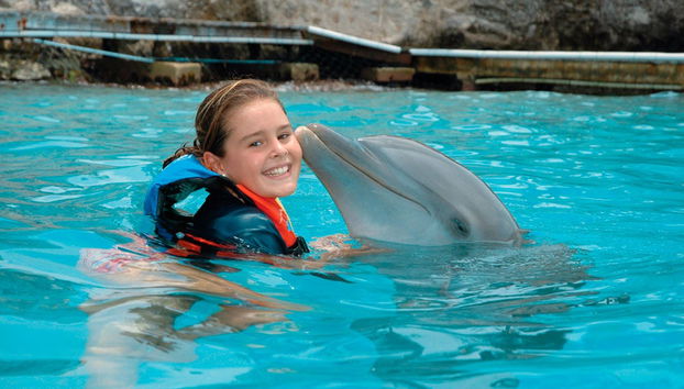 Go City: Oahu All-Inclusive Pass - Photo 3