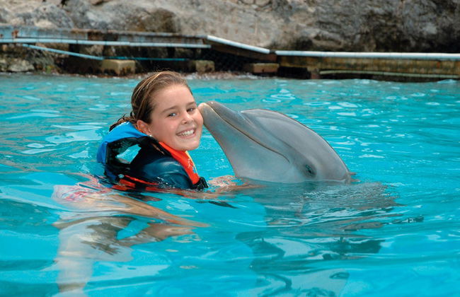 Go City: Oahu All-Inclusive Pass - Foto 3