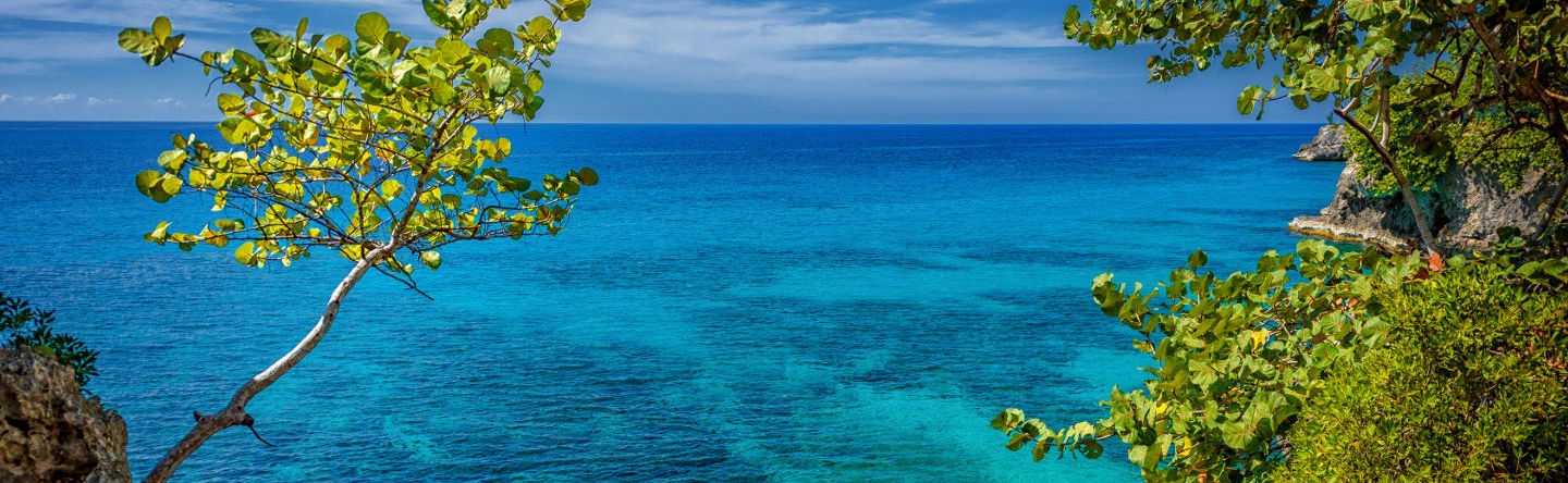 Excursion à Negril - Photo 1