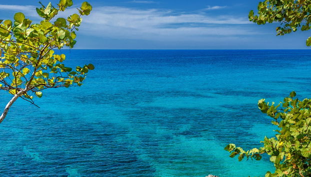 Excursión a Negril - Foto 4