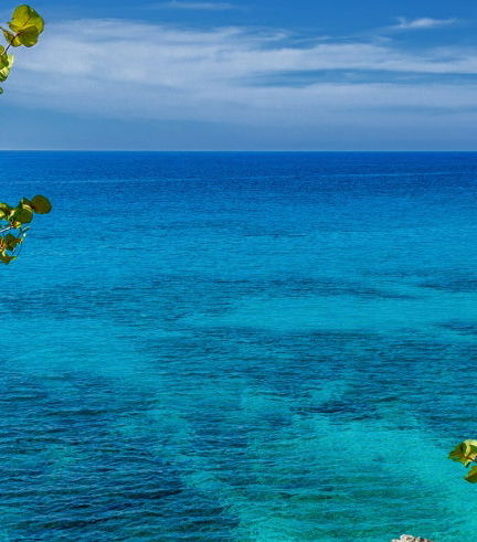 Foto de Excursión a Negril