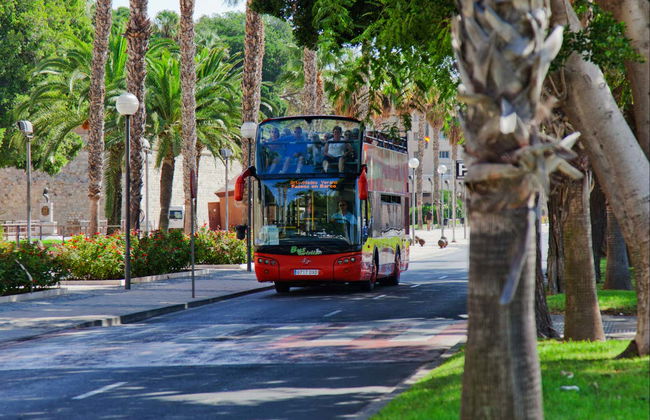 Visite panoramique de Carthagène - Photo 8