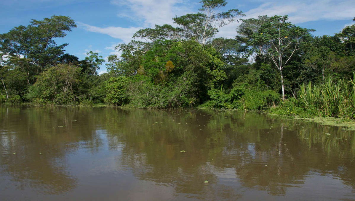 Excursión de día completo a la laguna de Yarinacocha - Foto 1