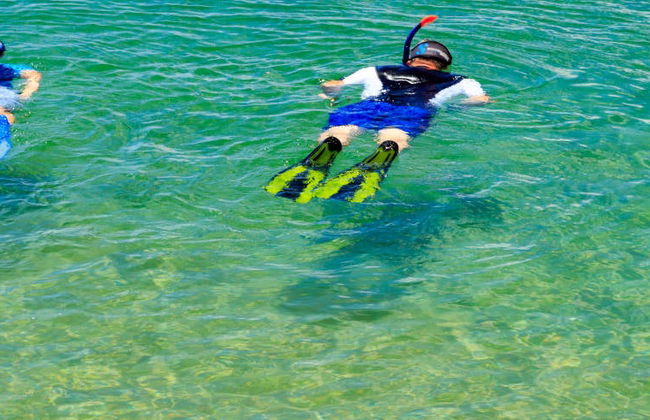 Snorkel en el Parque Natural de Arrábida - Foto 3