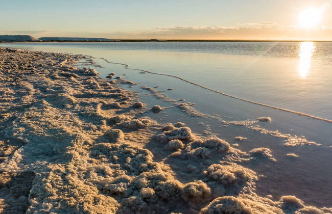 Excursión a las Salinas del Gualicho - Foto 2