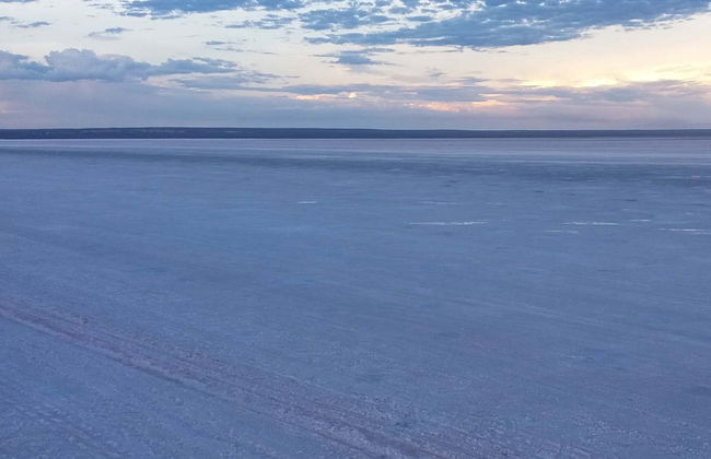 Excursión a las Salinas del Gualicho - Foto 4
