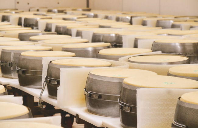 Ostuni Mozzarella Experience - Photo 6