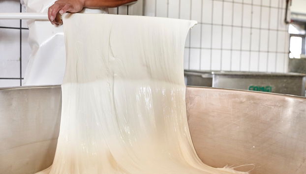 Ostuni Mozzarella Experience - Photo 2