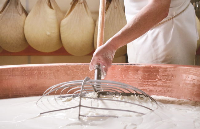 Ostuni Mozzarella Experience - Photo 1