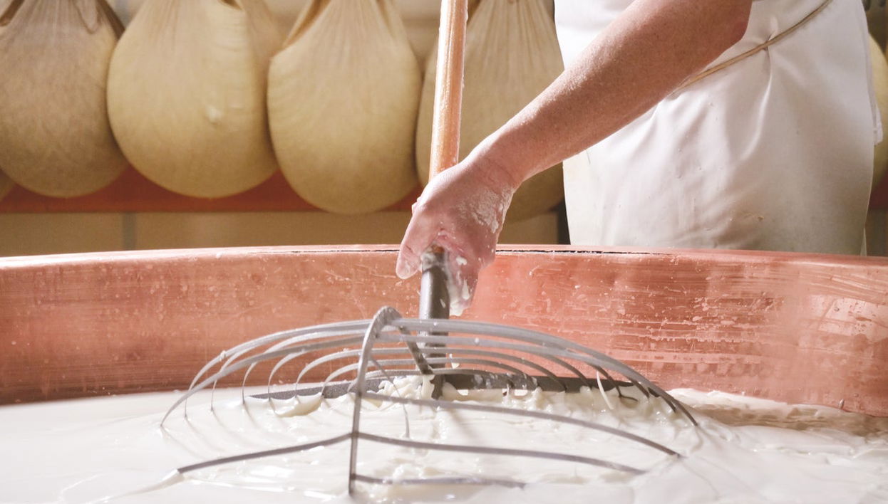 Ostuni Mozzarella Experience - Photo 1