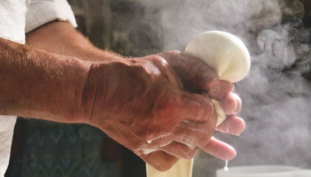 Ostuni Mozzarella Experience - Photo 3