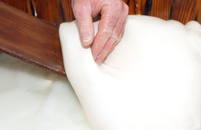 Ostuni Mozzarella Experience - Photo 2