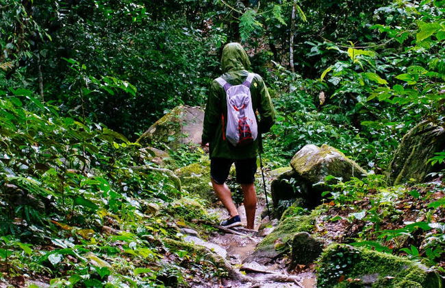 Randonnée dans la jungle amazonienne + Communauté de Santa Teresita - Photo 8