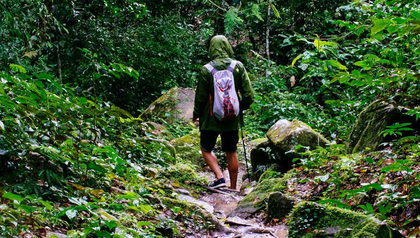 Senderismo por la selva amazónica + Comunidad de Santa Teresita
