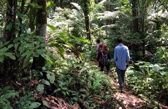 Randonnée dans la jungle amazonienne + Communauté de Santa Teresita - Photo 3