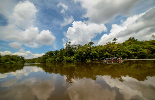 Randonnée dans la jungle amazonienne + Communauté de Santa Teresita - Photo 7