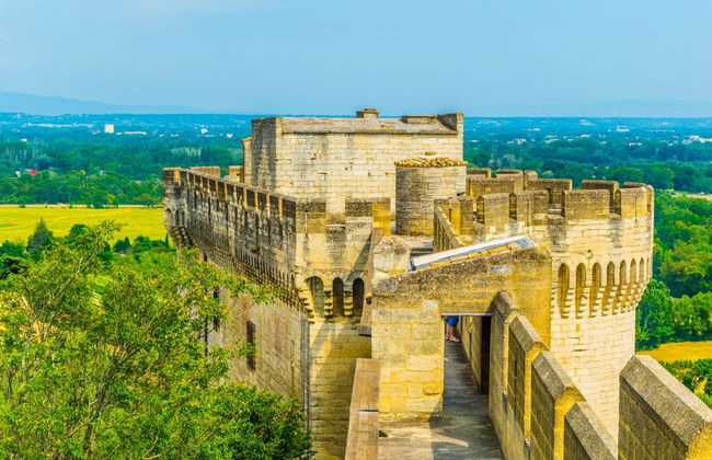 Fort of Saint-André Tickets - Foto 4