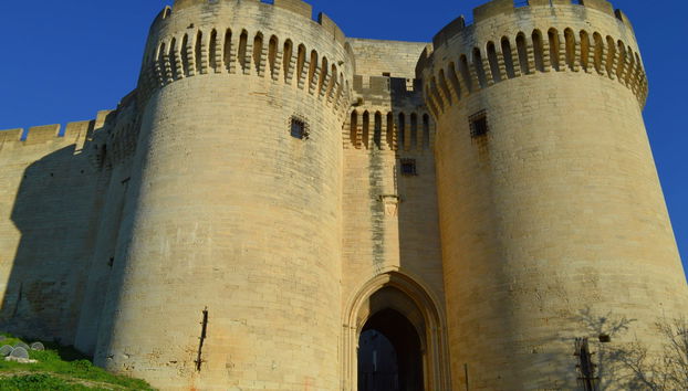 Fort of Saint-André Tickets - Foto 3