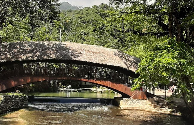 Excursão privada à reserva Santa Elena + Nascente do rio Tioyacu - Foto 8